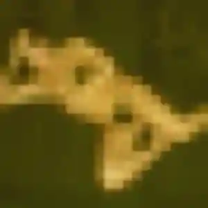 Srey (45 ans) à Abbeville cherche une rencontre maintenant