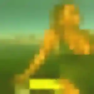 Ara de Agde, 30 ans - rencontre japonaise en toute liberté