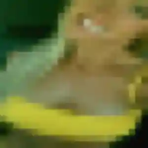 rencontre japonaise à Agde : photo de Hanh, 45 ans - sans engagement