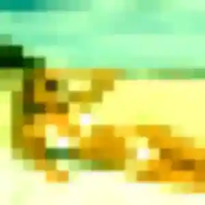 Profil de Da-Hye à Agen (40 ans) - rencontre japonaise gratuit