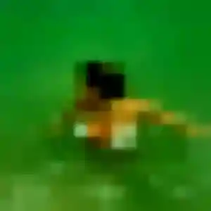 Photo exclusive de Dong, 32 ans à Agen - rencontre coquine