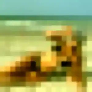 Photo de Ke à Agen (31 ans) - rencontre japonaise gratuit