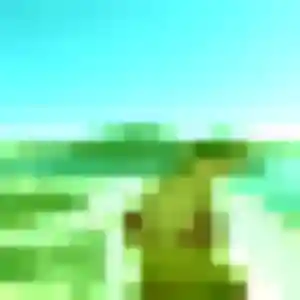 Profil de Pich à Aix-en-Provence (31 ans) - rencontre japonaise anonyme