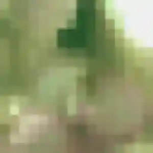 Profil de Wen à Aix-les-Bains (30 ans) - rencontre japonaise sans inscription