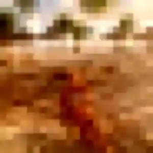 Photo perso de Zenaida, 33 ans à Aix-les-Bains - rencontre coquine