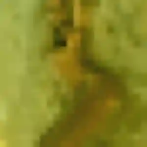 Pensri (32 ans) à Amnéville propose une rencontre rapidement