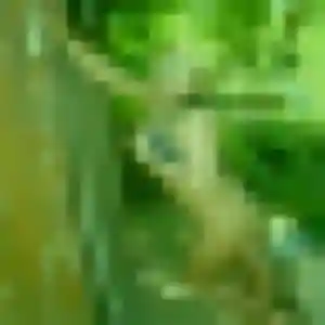 rencontre japonaise à Amnéville : profil de Thu, 29 ans - inscription gratuite