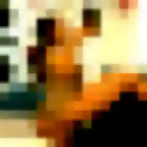 Photo de Chae-Rin à Andernos-les-Bains (40 ans) - rencontre japonaise discret