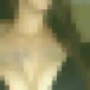 rencontre japonaise à Andrézieux-Bouthéon : photo de Ngoc, 45 ans - sans engagement