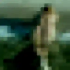 Photo exclusive de Panida, 36 ans à Andrézieux-Bouthéon - plan discret