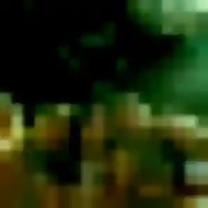 Truc de Andrézieux-Bouthéon, 44 ans - rencontre japonaise sans lendemain