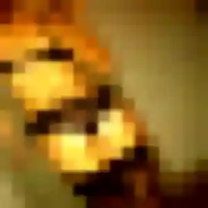 Somjai, fille de 26 ans propose rencontre japonaise à Anglet