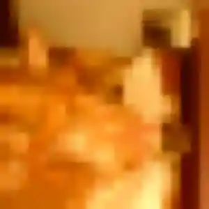 Photo perso de Min-Young, 34 ans à Angoulême - rencontre sans lendemain