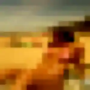 Miyako, 29 ans, connectée à Annœullin pour un rencontre japonaise