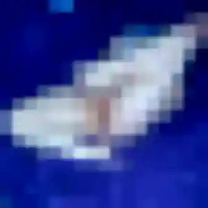 rencontre japonaise à Annœullin : profil de Van, 45 ans - accès libre