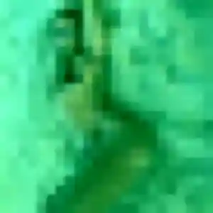 Kaew de Anzin, 30 ans - rencontre japonaise sans prise de tête