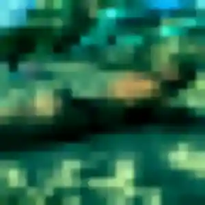 Araya de Apt, 25 ans - rencontre japonaise sans prise de tête