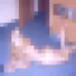 rencontre japonaise à Arcachon : profil de Tao, 23 ans - sans engagement