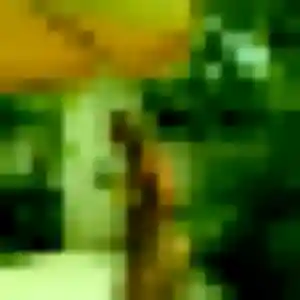 Trang de Argelès-sur-Mer, 42 ans - rencontre japonaise discret