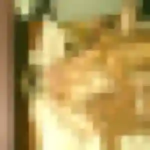 rencontre japonaise à Argentan : profil de Feng, 30 ans - accès libre