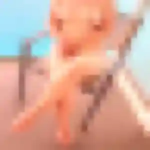 Tao, 41 ans, en ligne à Argentan pour une rencontre coquine