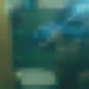 Kwan de Armentières, 35 ans - rencontre japonaise sans prise de tête