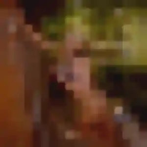 Profil de Tsubaki à Armentières (31 ans) - rencontre japonaise sans inscription