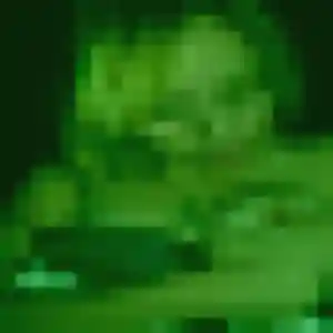 rencontre japonaise à Arnouville : profil de Hoa, 41 ans - accès libre