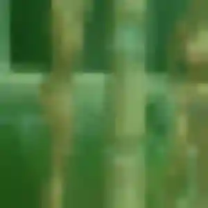 Joy, 30 ans, en ligne à Arpajon pour une rencontre coquine