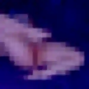 Porn, 25 ans, connectée à Arras pour un rencontre japonaise