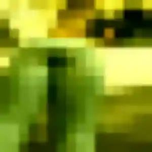 rencontre japonaise à Asnières-sur-Seine : profil de Tsukiko, 29 ans - accès libre