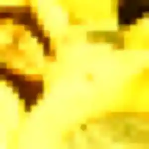 Photo exclusive de Trinh, 36 ans à Aubière - rencontre coquine