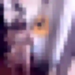 Vivian (28 ans) à Aubière propose un rencontre japonaise ce soir