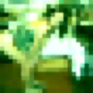 Yoshiko, 43 ans, en ligne à Aubière pour une rencontre coquine