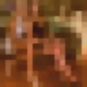 Soledad, femme de 35 ans veut rencontre japonaise à Auray