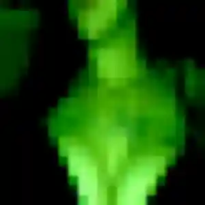 Photo de Ly à Auterive (43 ans) - rencontre japonaise gratuit