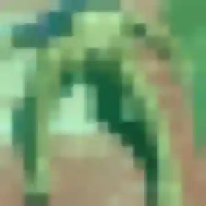 rencontre japonaise à Auterive : profil de So-Yeon, 42 ans - accès libre