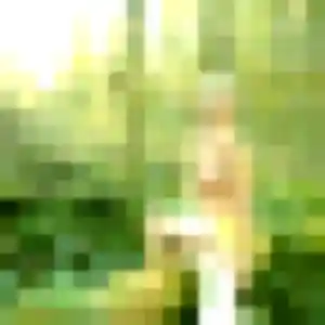 Charmante Tien, 29 ans à Auterive - la contacter