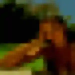 Jia, 24 ans, dispo pour rencontre japonaise à Auxerre