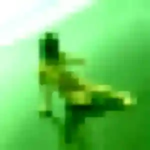 Profil de Ha à Avon (41 ans) - rencontre japonaise gratuit