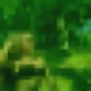 Contacte Bea, 30 ans à Balma gratuitement