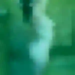 Découvre Lam, 26 ans à Balma gratuitement