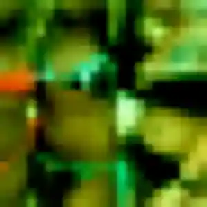 Qi de Balma, 33 ans - rencontre japonaise sans lendemain