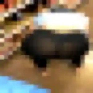 Keiko, 41 ans, connectée à Bastia pour un rencontre japonaise