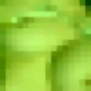 Photo de Ning à Baugé-en-Anjou (45 ans) - rencontre japonaise discret