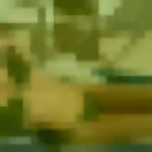 Mai de Beaupréau-en-Mauges, 35 ans - rencontre japonaise sans prise de tête