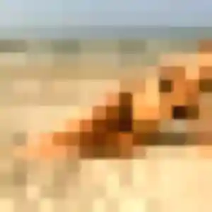 Megumi, 26 ans, en ligne à Belfort pour un rencontre japonaise