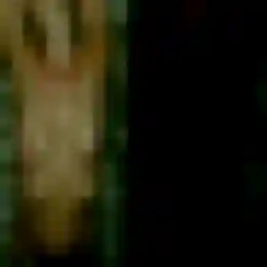 Hye-Won de Belleville-en-Beaujolais, 25 ans - rencontre japonaise sans lendemain