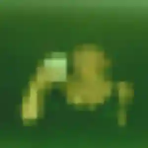 Chae-Yeon, 28 ans, cherche un rencontre japonaise à Berck