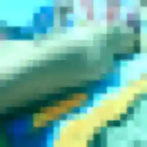 Photo de Ping à Berre-l'Étang (25 ans) - rencontre japonaise sans inscription